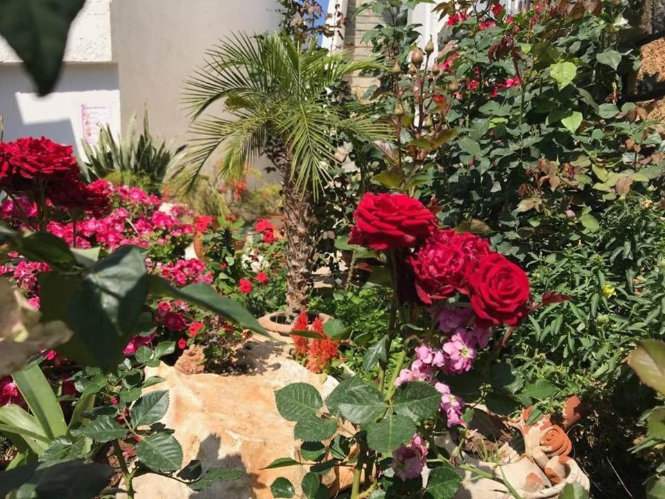 Athina Residence Lentas Luaran gambar